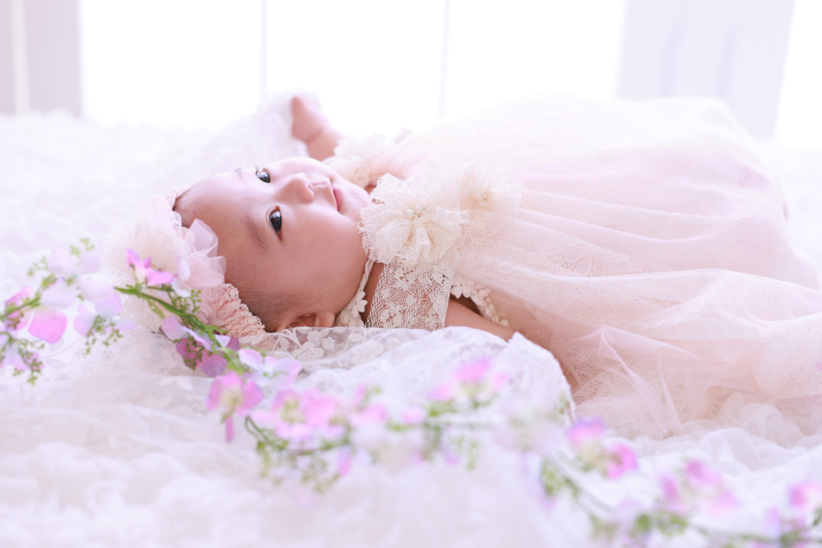 PHOTO GALLERY